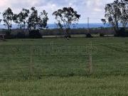 Terrain agricole d'un hectares