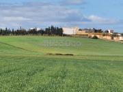 Terrain Agricole Lakhyayta/Had Soualem