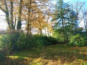 TERRAIN AVEC BATIMENT LA CHAPELLE SUR ERDRE 368 000 €