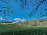 Terrain avec vue panoramique