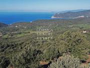 Terrain avec vue panoramique