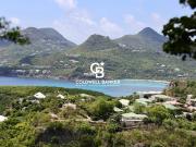 Terrain avec vue panoramique