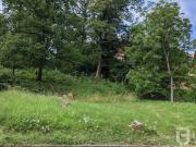 Terrain Ã bÃ¢tir 500 mÂ² Drachenbronn Birlenbach