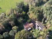 Terrain boisé – forêt