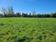 Terrain Constructible 1000m²