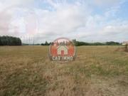 TERRAIN CONSTRUCTIBLE 1341 m2