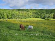 Terrain constructible proche des chevaux