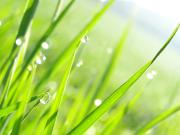 Building land Venthône | dreamo. Ch