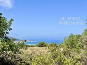 Terrain Corbara, France