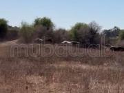 Terrain dar bouazza