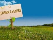 Terrain de 10000 m2 en vente Marrakech, Marrakesh Safi