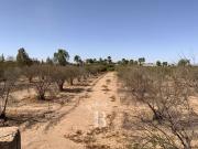 Terrain de 10680 m2 en vente Marrakech, Marrakesh Safi Terrain de 10680 m2 en vente Marrakech, Marrakesh Safi