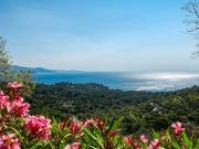 Terrain de 1250 m2 en vente Bormes les Mimosas, France