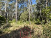 Terrain de 1317 m2