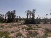 Terrain de 13800 m2 en vente Marrakech, Marrakesh Safi