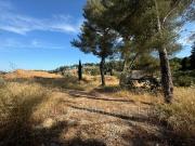 Terrain de 2000 m2 en vente Ollioules, France