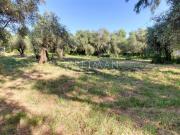 Terrain de 2000 m2 Opio, Provence Alpes Côte d'Azur