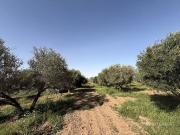 Terrain de 30000 m2 en vente Marrakech, Marrakesh Safi