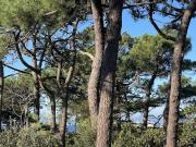 Terrain de 530 m2 en vente Lacanau, France