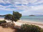 Terrain de 6100 m2 en vente Sainte Lucie de Porto...