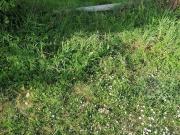 Terrain de 640m²