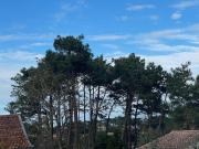 Terrain de 745 m2 en vente Lacanau, Nouvelle Aquitaine