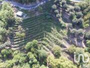Terrain de 8551 m2 en vente Sainte Agnès, France