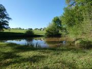 Terrain de loisirs 1,3 hectares avec étang