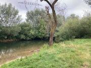 Terrain de loisirs bois Etang à vendre à Chappes 10260