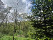 Terrain de loisirs bois Etang à vendre à Châteauneuf du...