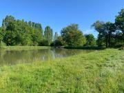 Terrain de loisirs bois Etang à vendre à Châtillon sur...