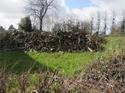 Terrain de loisirs bois Etang à vendre à Chérencé le...