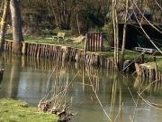 Terrain de loisirs bois Etang à vendre à Congé sur Orne...