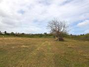 Terrain de loisirs bois Etang à vendre à Le Moule 97160