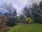 Terrain de loisirs bois Etang à vendre à Les Arsures 39600