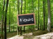 Terrain de loisirs bois Etang à vendre à Maleville 12350