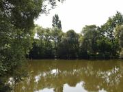 Terrain de loisirs bois Etang à vendre à Martigné sur...