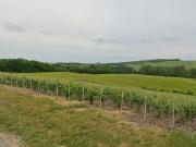 Terrain de loisirs bois Etang à vendre à Passy Grigny 51700