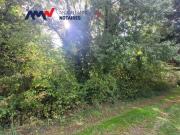 Terrain de loisirs bois Etang à vendre à Précigné 72300