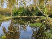 Terrain de loisirs bois Etang à vendre à Requeil 72510