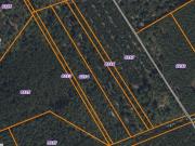 Terrain de loisirs bois Etang à vendre à Saint Biez en...