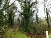 Terrain de loisirs bois Etang à vendre à Saint Tugdual 56540 Terrain de loisirs bois Etang à vendre à Saint Tugdual 56540