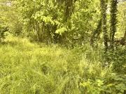 Terrain de loisirs de 485 m2 en bord de rivière