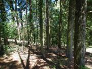 Terrain de loisirs Saint Germain Des Pres