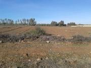 Terrain d'un hectare SD1 très bien placé sur route...