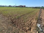 Terrain en orbite urbaine à vendre à Khemisset