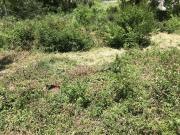 Terrain Idéal Village