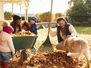Terrain Lorry lès Metz LE HAMEAU DU CHENE