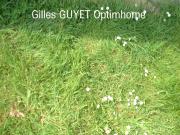 Terrain plat constructible de 1520M² Triangle...