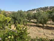 Terrain sur la route de tetouan